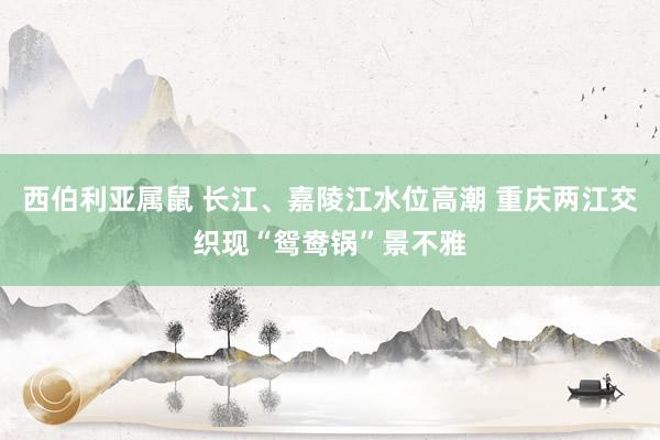 西伯利亚属鼠 长江、嘉陵江水位高潮 重庆两江交织现“鸳鸯锅”景不雅