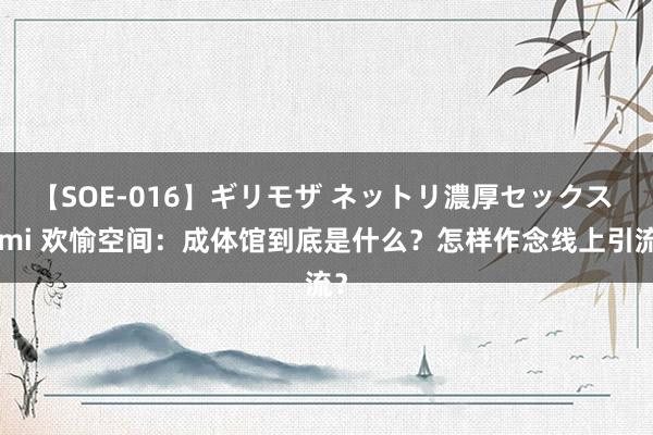 【SOE-016】ギリモザ ネットリ濃厚セックス Ami 欢愉空间：成体馆到底是什么？怎样作念线上引流？