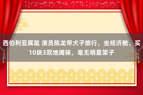 西伯利亚属鼠 演员陈龙带犬子旅行，坐经济舱、买10块3双地摊袜，毫无明星架子