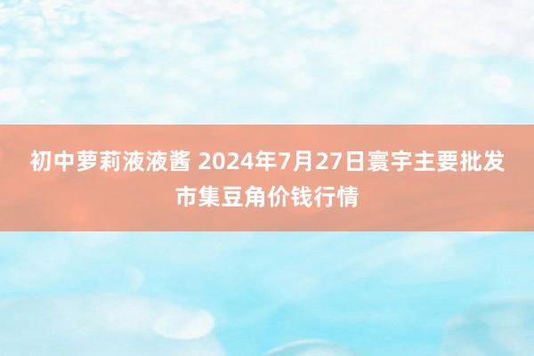 初中萝莉液液酱 2024年7月27日寰宇主要批发市集豆角价钱行情