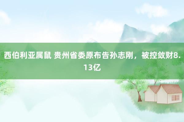 西伯利亚属鼠 贵州省委原布告孙志刚，被控敛财8.13亿