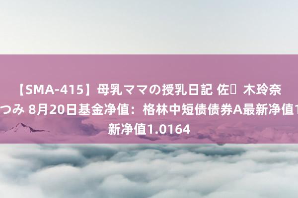 【SMA-415】母乳ママの授乳日記 佐々木玲奈 友倉なつみ 8月20日基金净值：格林中短债债券A最新净值1.0164