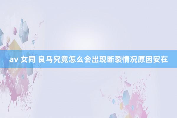 av 女同 良马究竟怎么会出现断裂情况原因安在