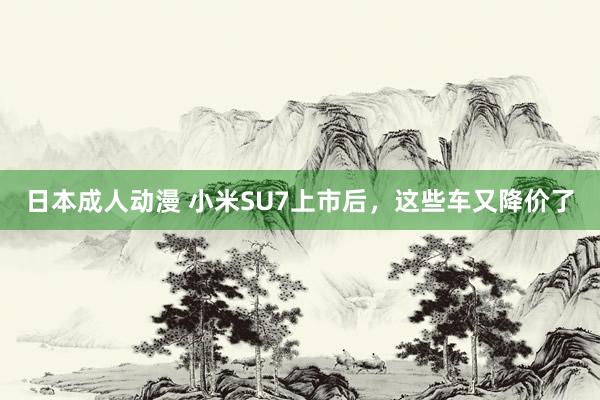 日本成人动漫 小米SU7上市后，这些车又降价了